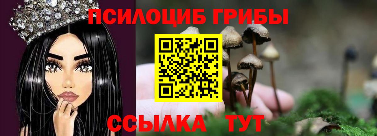 Галлюциногенные грибы Psilocybine cubensis  Псилоцибиновые грибы мицелий  где продают наркотики  Грязи  Вход с VPN 